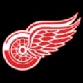 Detroit Red Wings Logo