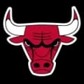 Chicago Bulls Logo