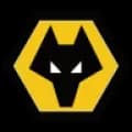 Wolves Logo