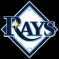 tampa bay rays Logo
