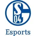 schalke-04 Logo