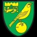 Norwich City Logo